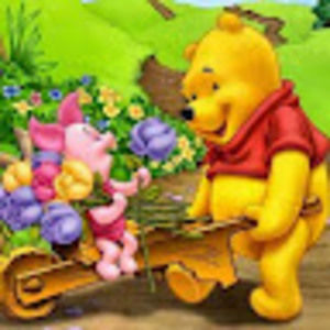 Meet your Posher, Irlene